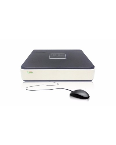 BestNVR-400. IP-видеосервер 4-канальный. BestDVR в Нижневартовске