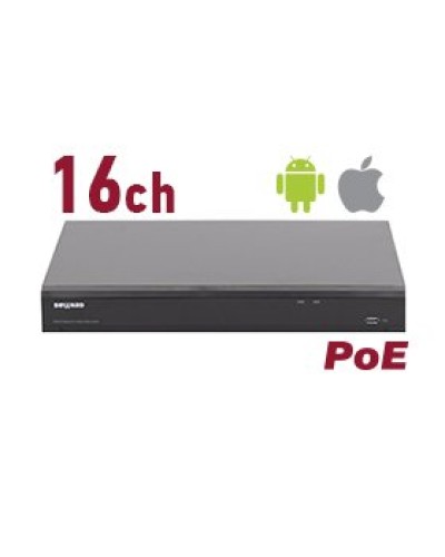 RK2216-P. Видеорегистратор IP 16-канальный. Beward в Нижневартовске