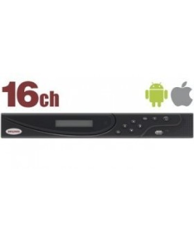 BK1216H2-P8. IP-видеорегистратор. Beward в Нижневартовске