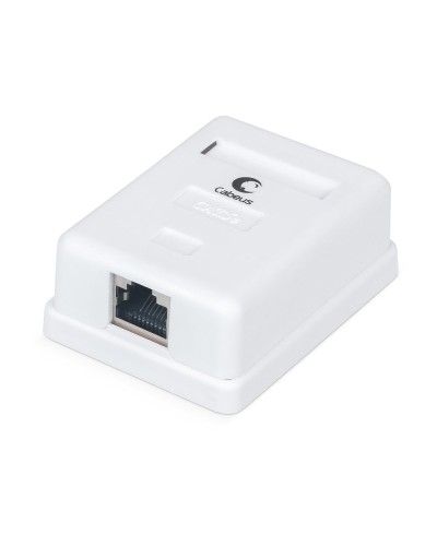 WS-8P8C-Cat.5e-SH-1 (7485c): Розетка RJ-45 в Нижневартовске