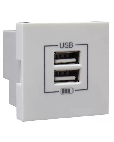 Розетка USB двойная, зарядная, белая (45439 SBR): Розетка USB двойная в Нижневартовске