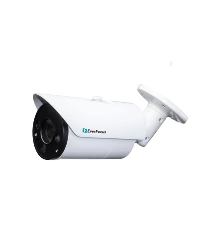 EZN-268V. Видеокамера IP купольная. EverFocus в Нижневартовске