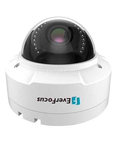 EHN-1250. Видеокамера IP купольная. EverFocus в Нижневартовске
