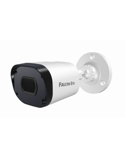 FE-IPC-BP2e-30p. Видеокамера IP цилиндрическая. Falcon EYE в Нижневартовске