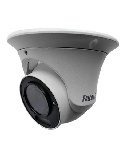 FE-IPC-DV2-40pa. Видеокамера IP купольная. Falcon EYE в Нижневартовске