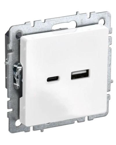 Розетка USB A+C 18Вт РЮ11-1-БрБ белый BRITE (BR-U22-018-K01). Розетка USB. IEK в Нижневартовске
