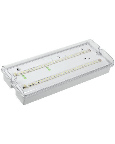 Светильник аварийный ДПА 5042-1 1ч IP65 LIGHTING (LDPA0-5042-1-65-K01). Светильник аварийный универсальный. IEK в Нижневартовске