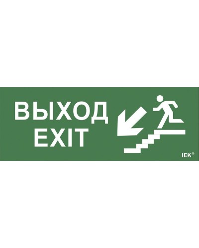 Самоклеящаяся этикетка Выход/лестница вниз/фигура для ССА (LPC10-1-35-13-VLVNF). Самоклеящаяся этикетка 240х90 мм. IEK в Нижневартовске