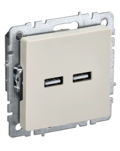 Розетка USB A+A 3,1А РЮ10-1-БрКр бежевый BRITE (BR-U21-D31-K10). Розетка USB. IEK в Нижневартовске