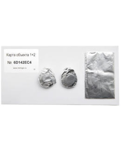 Карта объекта 1+2. Проксимити карта. IronLogic в Нижневартовске