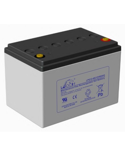 LEOCH LPG 12-60. Аккумулятор герметичный свинцово-кислотный. LEOCH в Нижневартовске