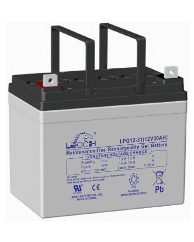 LEOCH LPG 12-31. Аккумулятор герметичный свинцово-кислотный. LEOCH в Нижневартовске