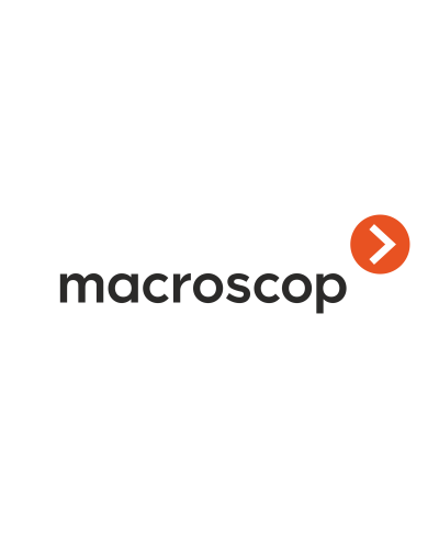 Расширение с LS до ST. Программное обеспечение (опция). MACROSCOP в Нижневартовске