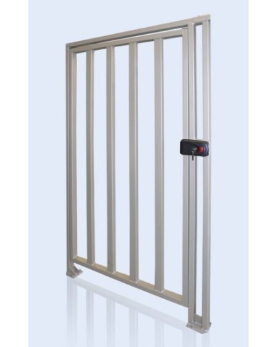 PERCo-WHD-15. Калитка. PERCo в Нижневартовске