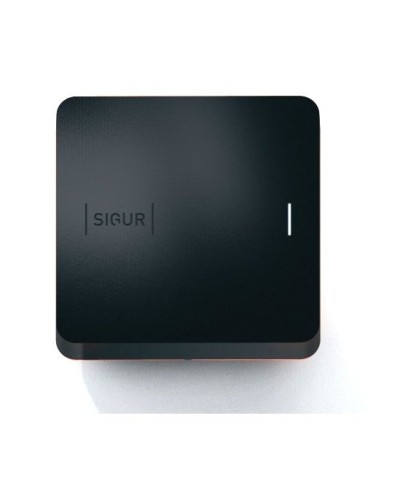 Sigur MR100 Multi. Считыватель. SIGUR в Нижневартовске
