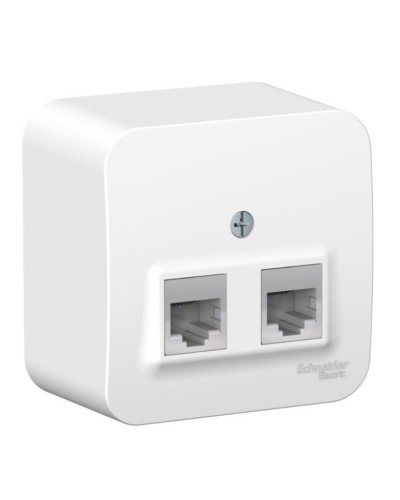 BLANCA розетка RJ11+RJ45, 2-местная, кат. 5Е, открытой установки, белый (BLNIA045111). Розетка компьютерная + телефонная с изолированной пластиной. Systeme Electric в Нижневартовске