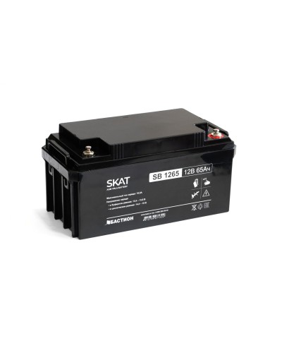 SKAT SB 1265 (2541). Аккумулятор герметичный свинцово-кислотный. Бастион в Нижневартовске