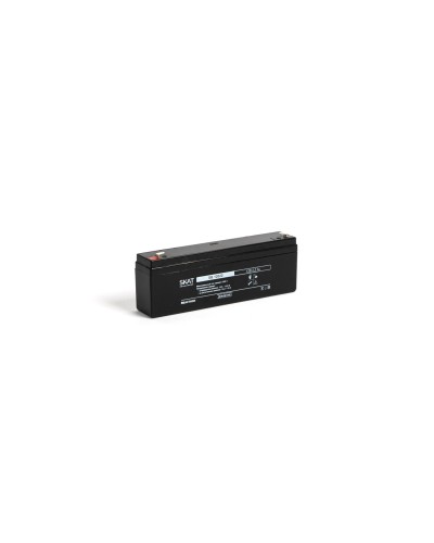 SKAT SB 12022 (2539). Аккумулятор герметичный свинцово-кислотный. Бастион в Нижневартовске