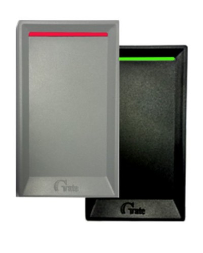 Gate-Reader-EH. Считыватель. Равелин в Нижневартовске