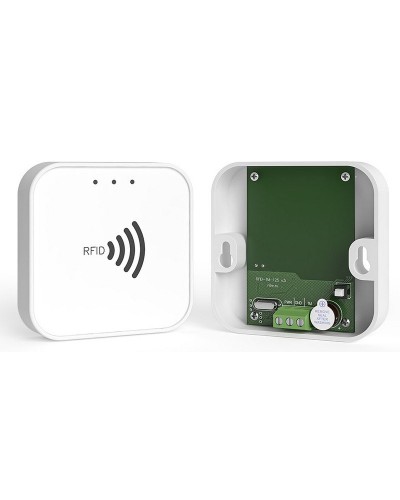 RFID-TM. Считыватель RFID. Ритм в Нижневартовске