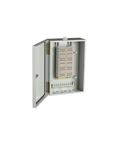 ШРН-В/100-Р (120908-00122). Шкаф ШРН-В/100-Р, плинт ПВТ-10Р-5е. ССД (Связьстройдеталь) в Нижневартовске